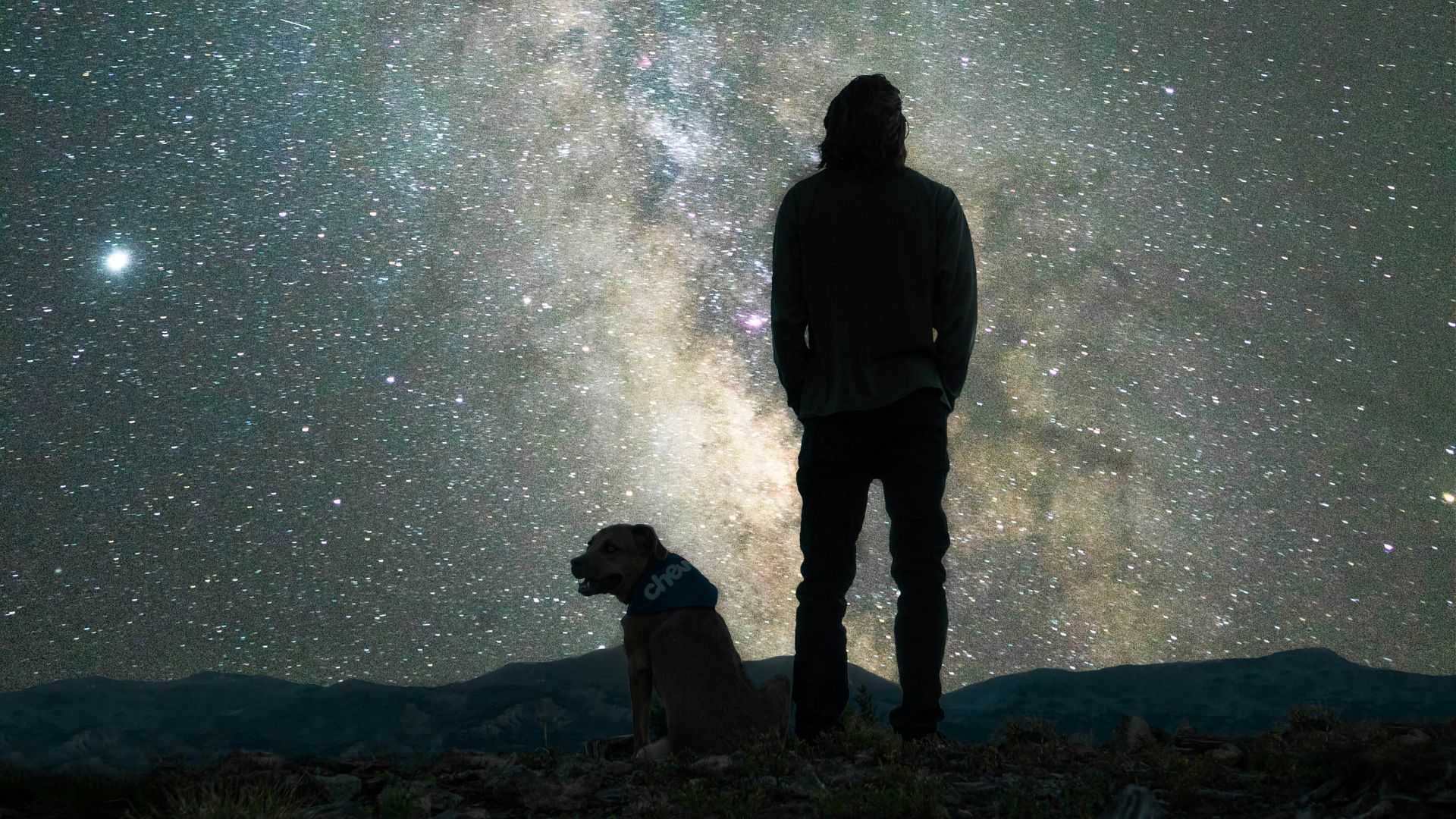 silhouette of man and dog standing on rock during night time